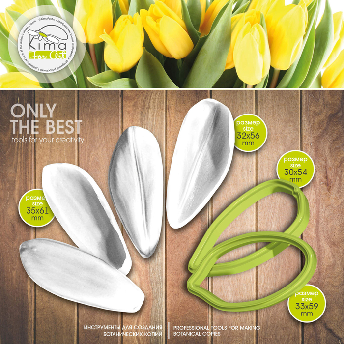 Тюльпан лепестки бутонные средние