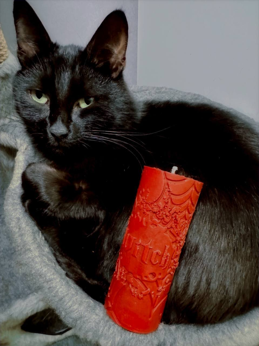 ВЕДЬМА — 45° Luna свечи для waxplay