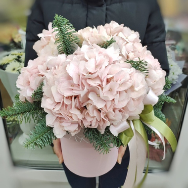 Коробка с 3 розовыми гортензиями и веточками нобилиса