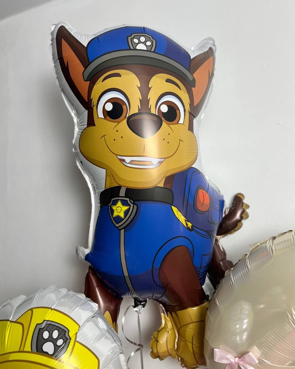 Воздушные шары на день рождение Щенячий патруль/Скай/Эверест/Гонщик/Маршал/Крепыш №3235