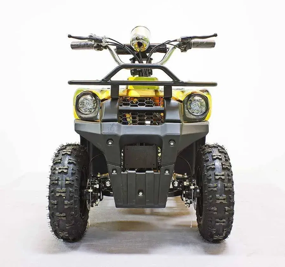 Электроквадроцикл Green Camel Гоби K40 (36V 800W R6 Цепь) быстросъем
