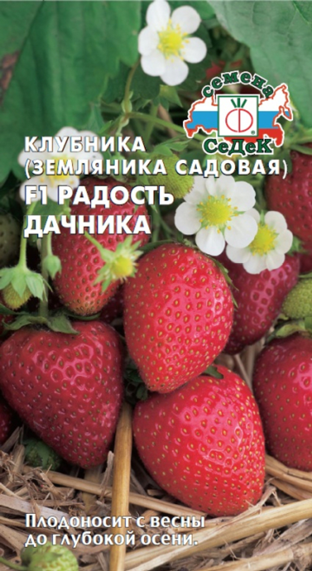 Клубника Радость дачника F1 (земляника садовая)