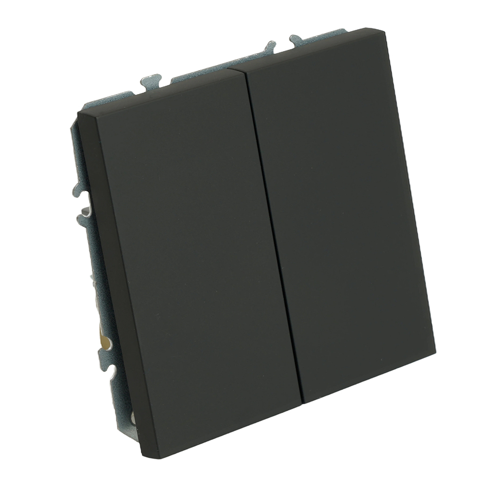 Переключатель 2-клавишный (механизм), STEKKER, 250В, 10А, серия Эмили, RSW10-5107-05, черный уголь, soft touch 49843