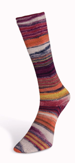 Пряжа Lines du Nord Eclectic Sock (04) 420м/100гр