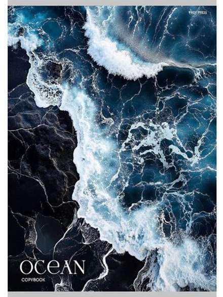 Тетрадь А4  48л кл. скоба Проф-Пресс "Синий океан - 1" (203*273мм)