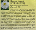 Нивяник Крейзи Дейзи 0,02 г СМЦ-229