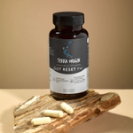Terra Origin, Healthy Gut ™ Reset PM, 60 капсул