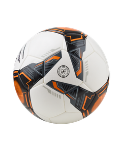 Мяч футбольный Championship №5, белый