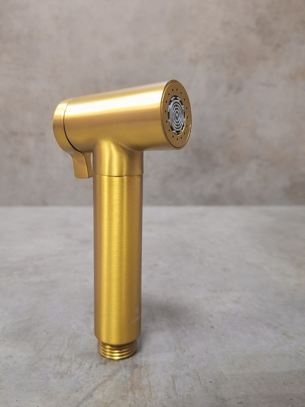 Гигиеническая лейка AltroBagno Modern 060206 BG