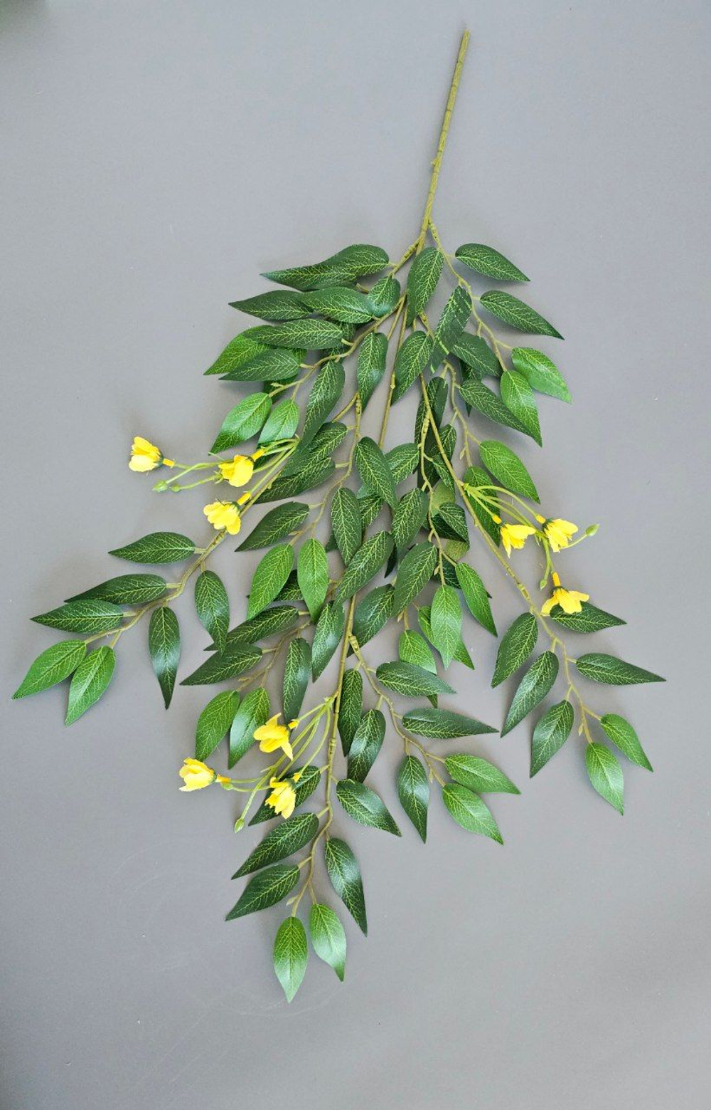 Рускус цветущий / Арт 1224