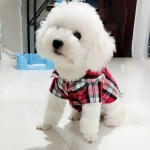 Кофта - рубашка фланелевая для мелких пород собак и кошек «BRO Style», цвет красный, р 3XL