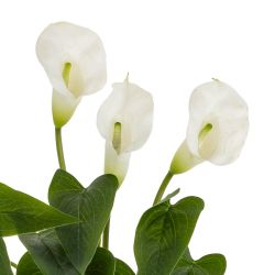 GAEM Цветок искусственный "Калла", L22 W14 H43 см