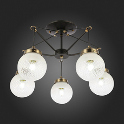 Светильник потолочный Evoluce Stricce SLE110302-05