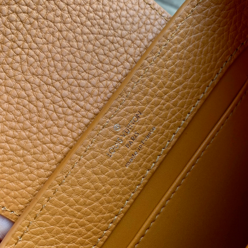 Louis Vuitton Capucines Mini