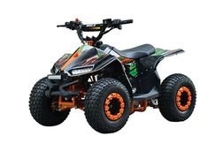 Квадроцикл WELS Tukah 110