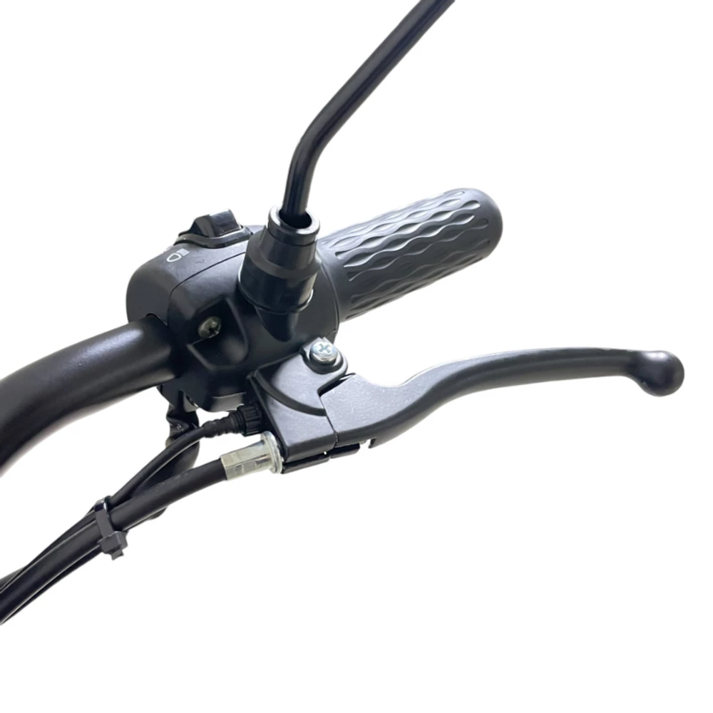 Электротрицикл GT-EV5 (Черный)