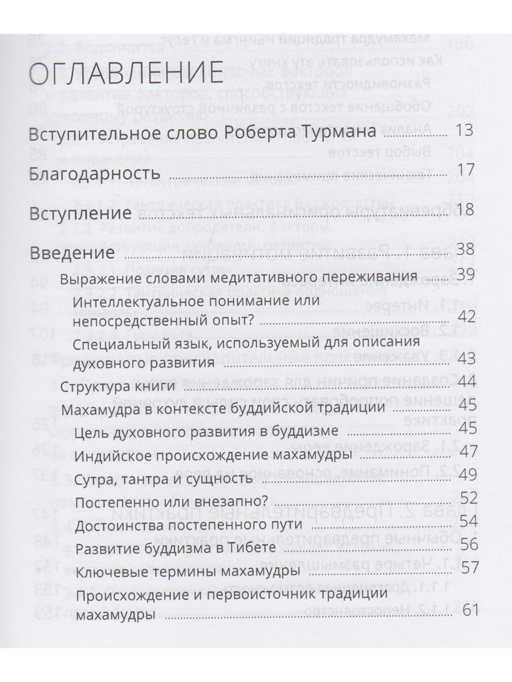 Указывая великий путь. Махамудра: этапы медитации