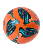 Мяч для пляжного футбола Triumph Beach Elite №5