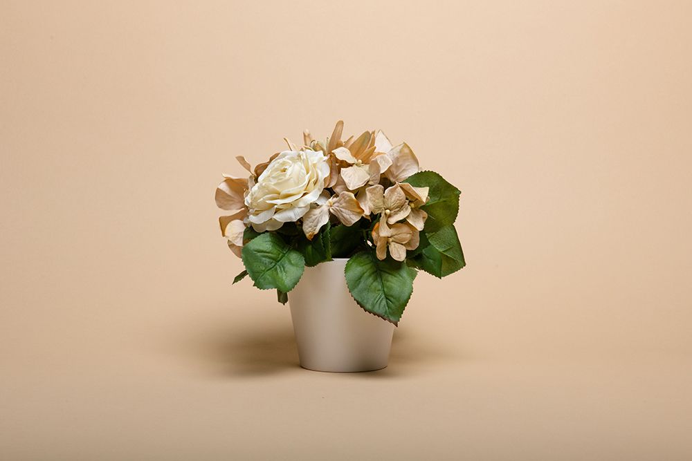 Superior 66 2.72 Х 11м Wheat