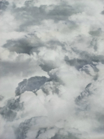 Кулирка Купон Котики на черно-белом фоне