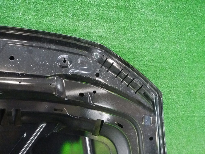 DSCN9087.JPG