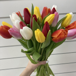 21 тюльпан контрастный микс в упаковки + 2 белых тюльпана, каждый отдельно в прозрачной упаковке