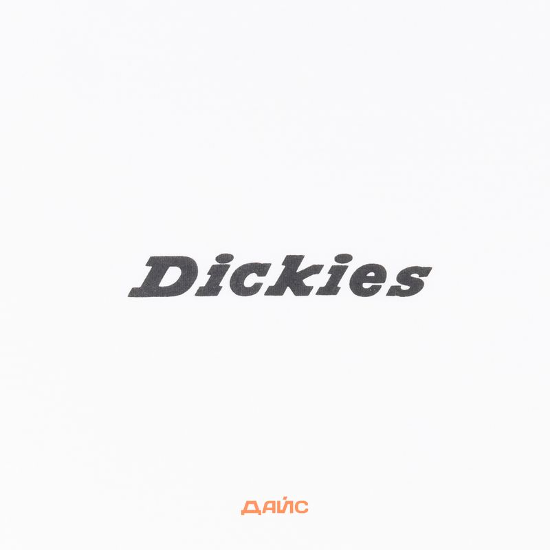 Футболка мужская Dickies Enterprise артикул:DK0A4YRNWHX1 - купить в магазине Дайс