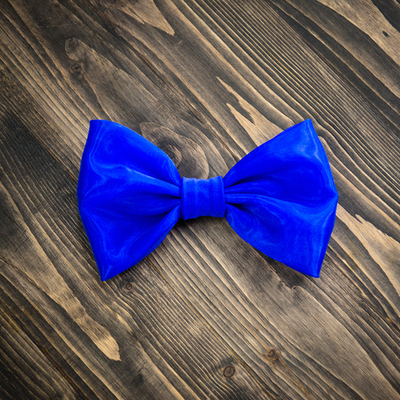 Bow 04-01-01 | Бант для платья из органзы