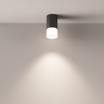 Потолочный светильник Technical C007CW-01B