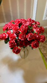 пионовидные розы, красные