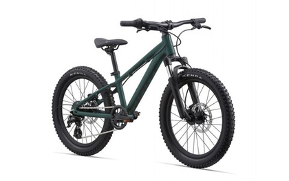 Велосипед Giant STP 20 FS 2021