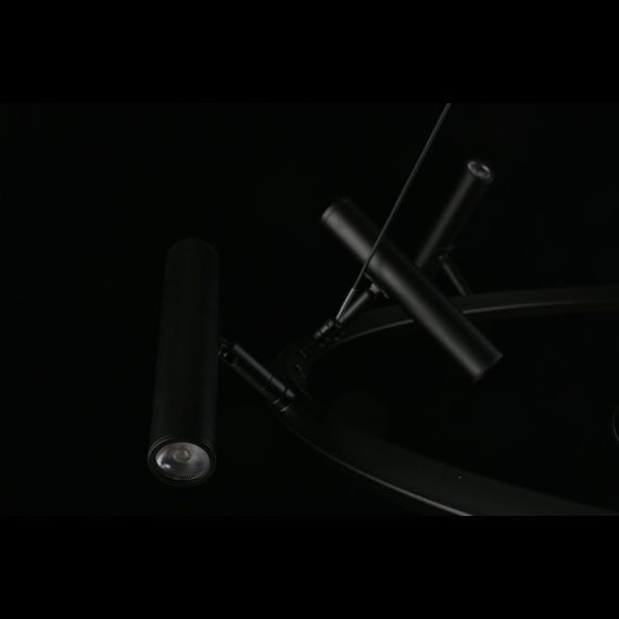 Подвесная светодиодная люстра Aployt Honor APL.067.03.50