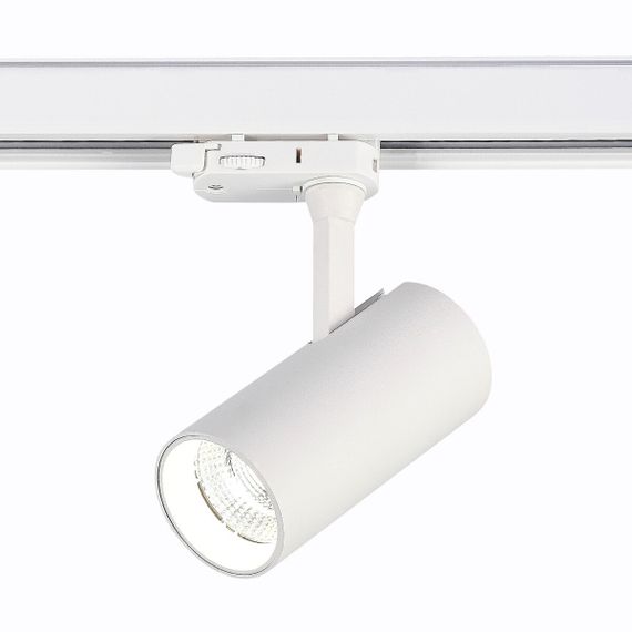 Трековый светодиодный светильник ST Luce ST661.546.10