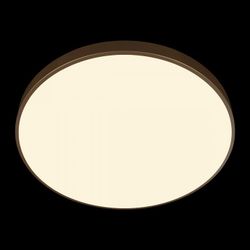 Накладной светильник Loft it Flims 10228/B