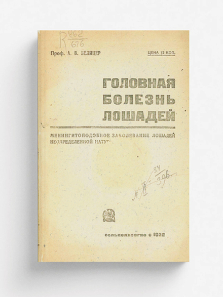 Головная болезнь лошадей. Менингитоподбное заболевание лошадей неопределенной натуры | Белицер А. В.