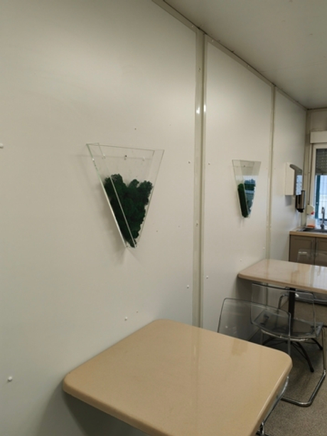 Навесное кашпо для декора интерьера Лахта Центр