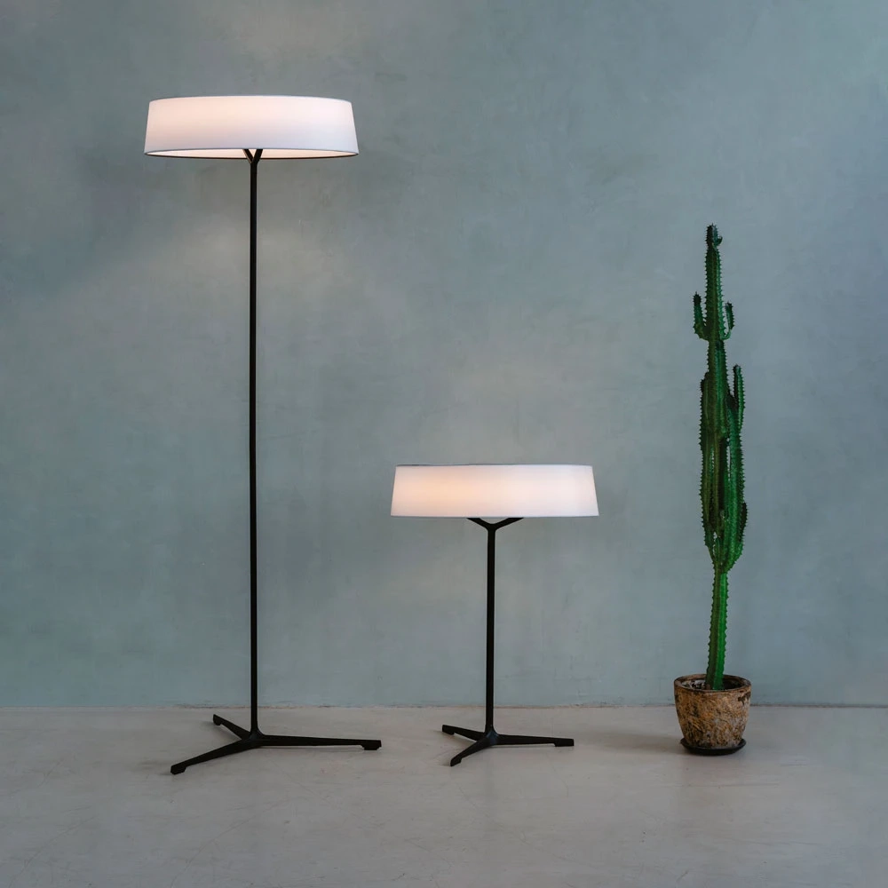 Декоративная настольная лампа Divinare ALMA 1029/06 TL-11