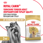 Royal Canin Yorkshire Terrier Adult Корм сухой для взрослых собак породы Йоркширский терьер от 10 месяцев 3 кг