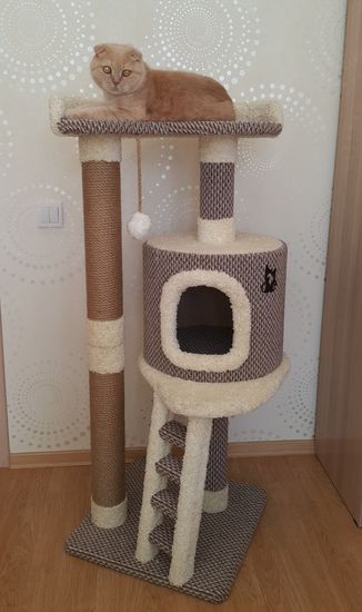 Когтеточка Н-71