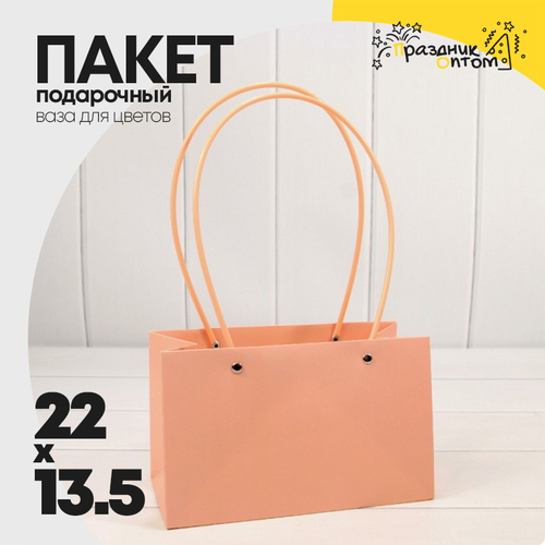 Пакет подарочный 22х13,5х10,5 Ваза для цветов (Персиковый)