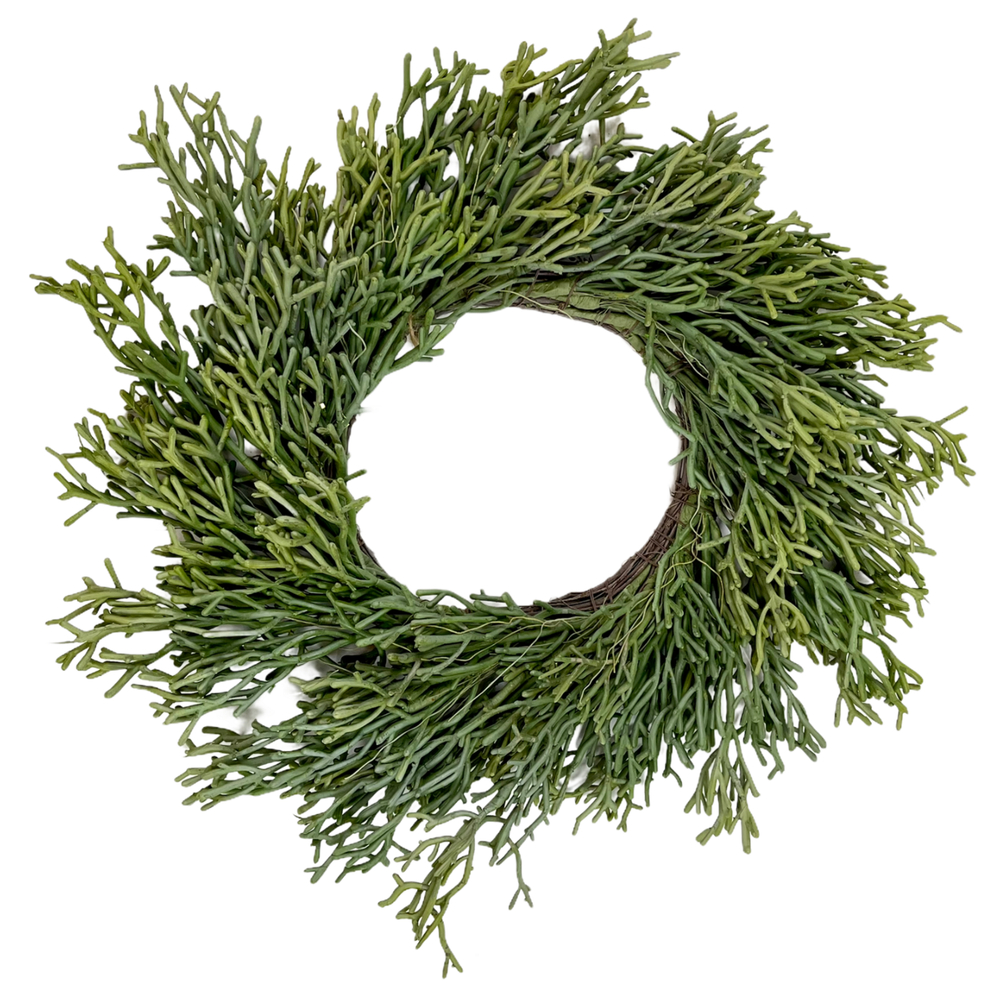 Венок из рипсалиса 60см.