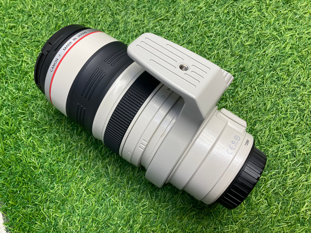 Canon EF 28-300mm 3.5-5.6L IS USM