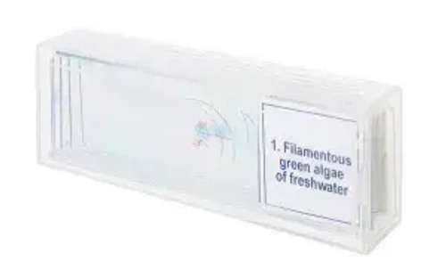 Набор микропрепаратов Levenhuk Discovery Prof DPS 5. «Биология»