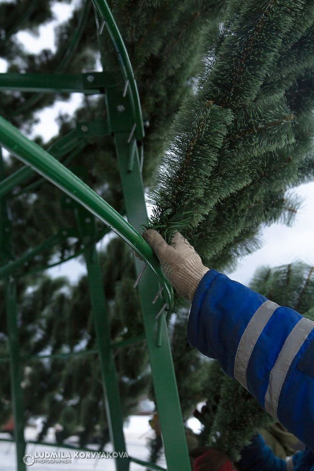 Ветка вставная - хвоя леска