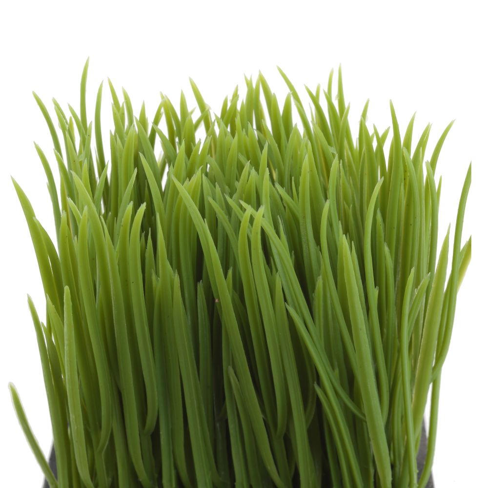 GAEM Цветочная композиция "Осока", L10 W10 H16 см