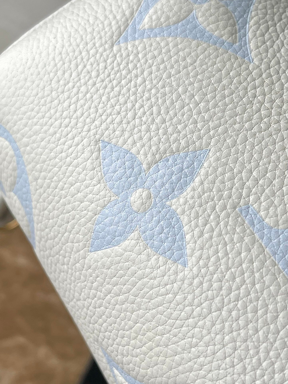 Louis Vuitton Speedy 20