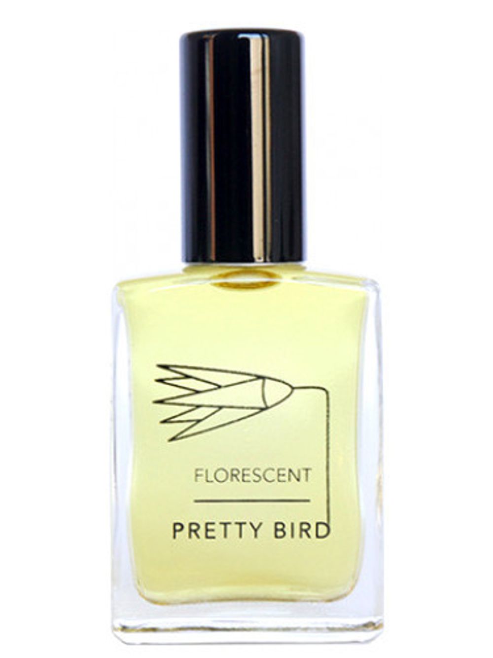 Florescent Pretty Bird