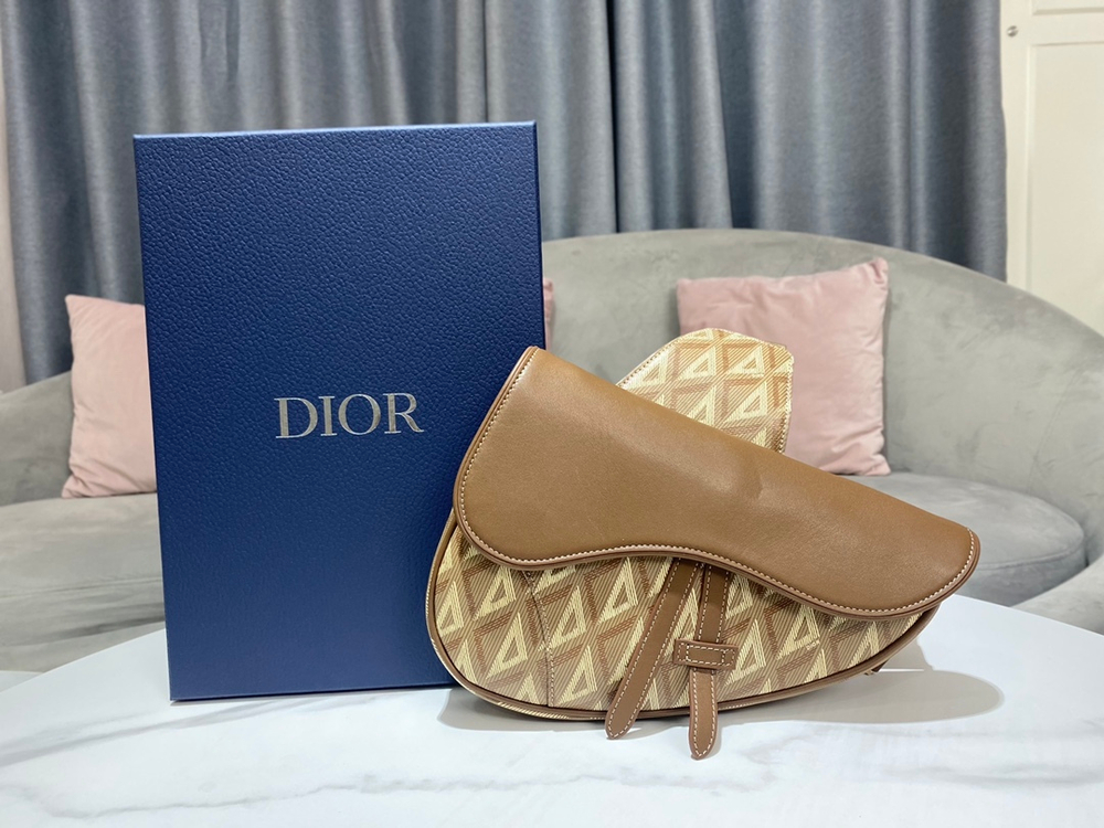 Christian Dior Saddle 26 cm