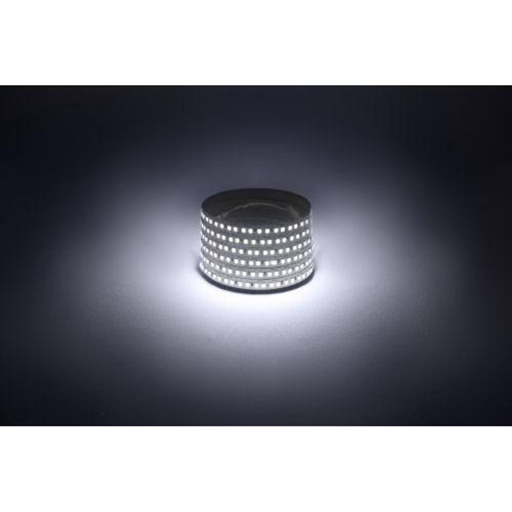 Лента светодиодная LS2835 -14.4-180-12-6500K-IP20-1 year-5m холод. бел. (уп.5м) Эра Б0059905