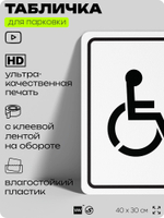 Табличка для парковки "Парковка для инвалидов", для дома, офиса, организаций, 40х30 см, Silver Plane x Айдентика Технолоджи